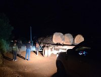 Polícia Federal reprime extração ilegal de madeira na Terra Indígena Kayapó com apoio da Funai