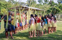 Povo Apurinã desenvolve manejo do pirarucu no Amazonas com apoio da Funai