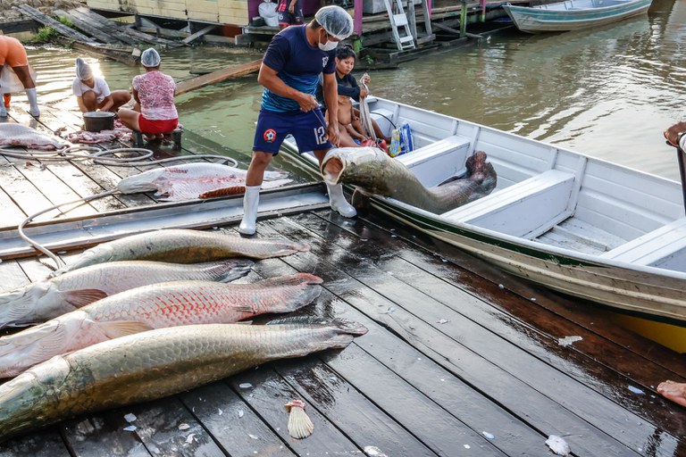 26.10.2025 - Visita a TI Itixi Mitari @ Mayra Wapichana_ FUNAI-39.jpg