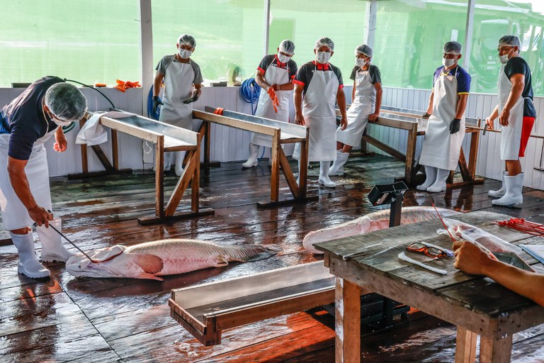 26.10.2025 - Visita a TI Itixi Mitari @ Mayra Wapichana_ FUNAI-45.jpg