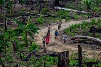 Preservação da Terra Indígena Munduruku protege os povos indígenas e a floresta