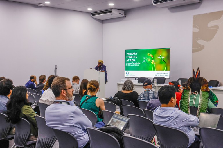 18.11.2015 - COP30 - Florestas Primária em Risco - Ação Global @ Mayra Wapichana_FUNAI (3).jpg