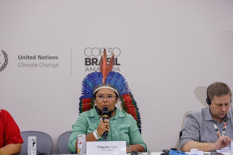 18.11.2015 - COP30 - Florestas Primária em Risco - Ação Global @ Mayra Wapichana_FUNAI (6).jpg