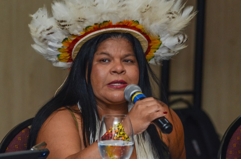 09.10.2025 - Plenária da CNPI @ Mário Vilela_FUNAI-28.jpg