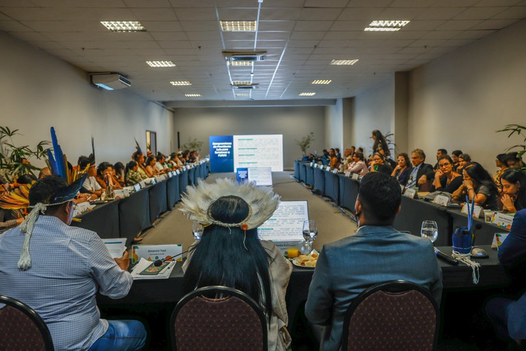 10.10.2025 - Plenária da CNPI @ Mayra Wapichana_FUNAI-23.jpg