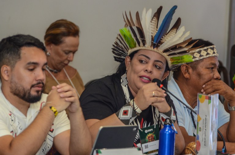 5 - 09.10.2025 - Plenária da CNPI @ Mário Vilela_FUNAI-18.jpg