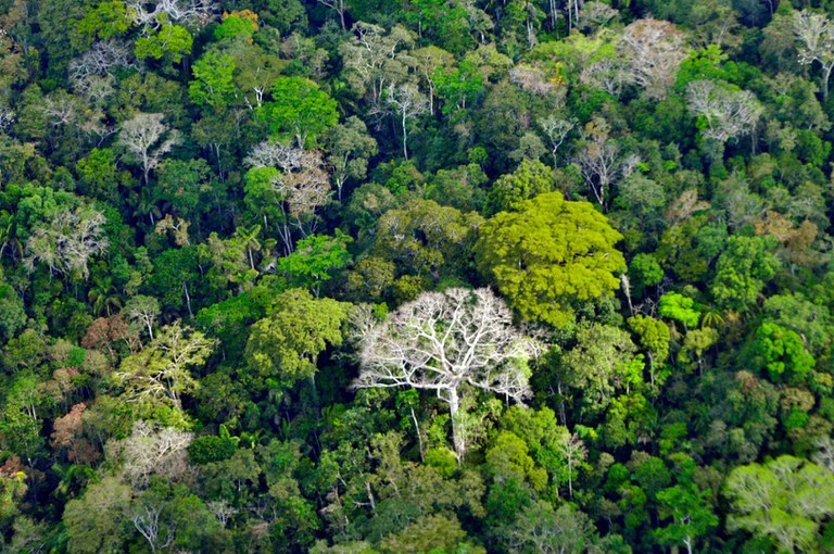 A_Panorâmicas viagem Envira © Mário Vilela » FUNAI (9).jpg