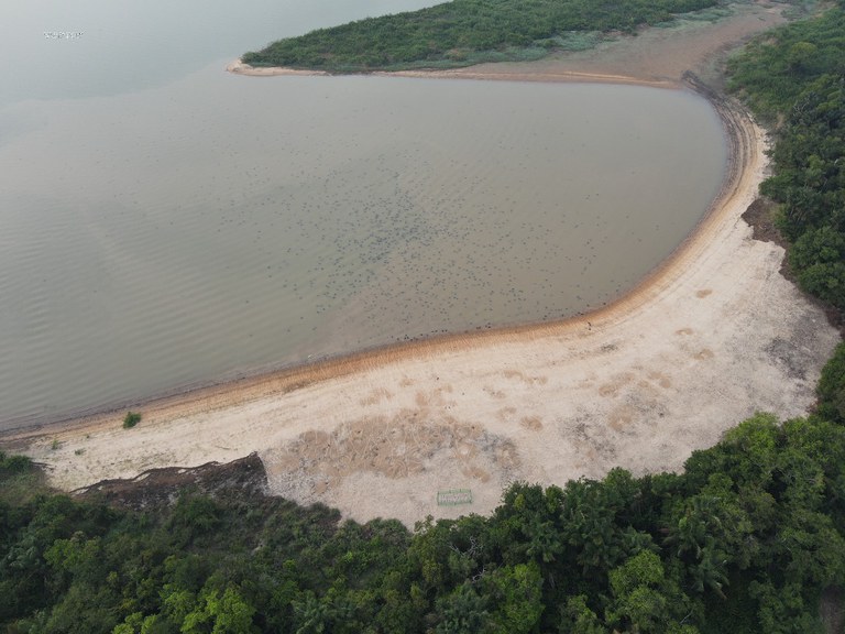 Foto IBAMA_Divulgação.jpg