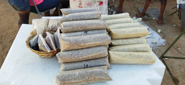 WhatsApp Image 2025-06-05 at 16.31.51.jpeg