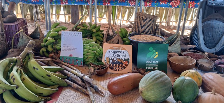 WhatsApp Image 2025-06-05 at 17.43.44.jpeg