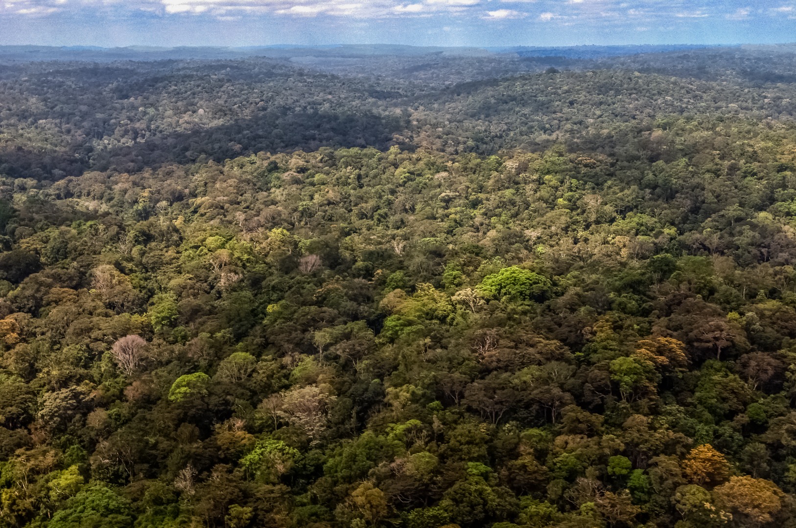 Parque do Tumucumaque © Mário Vilela » FUNAI_-57.jpg