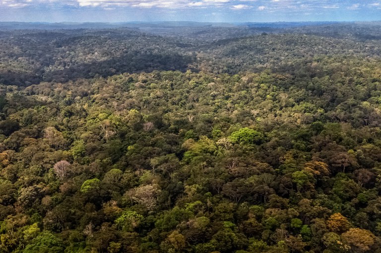 Parque do Tumucumaque © Mário Vilela » FUNAI_-57.jpg