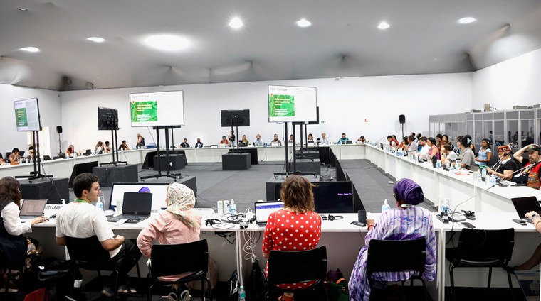 11.11.2025 - COP30 - Reunião na Sala de Negociações @ Mayra Wapichana_FUNAI (11).JPG