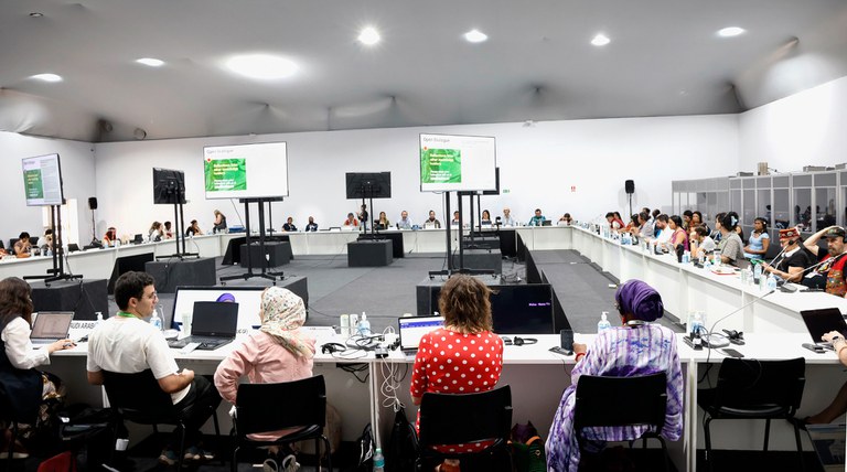 11.11.2025 - COP30 - Reunião na Sala de Negociações @ Mayra Wapichana_FUNAI (11).JPG