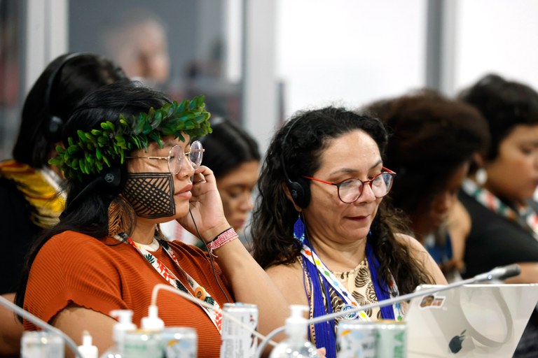 11.11.2025 - COP30 - Reunião na Sala de Negociações @ Mayra Wapichana_FUNAI (19).JPG