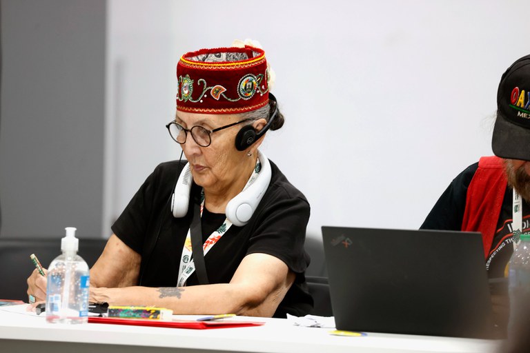 11.11.2025 - COP30 - Reunião na Sala de Negociações @ Mayra Wapichana_FUNAI (7).JPG