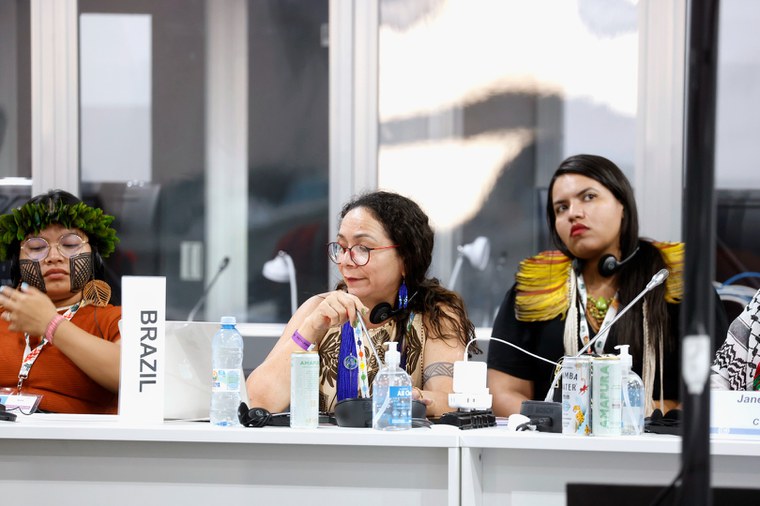 11.11.2025 - COP30 - Reunião na Sala de Negociações @ Mayra Wapichana_FUNAI (8).JPG