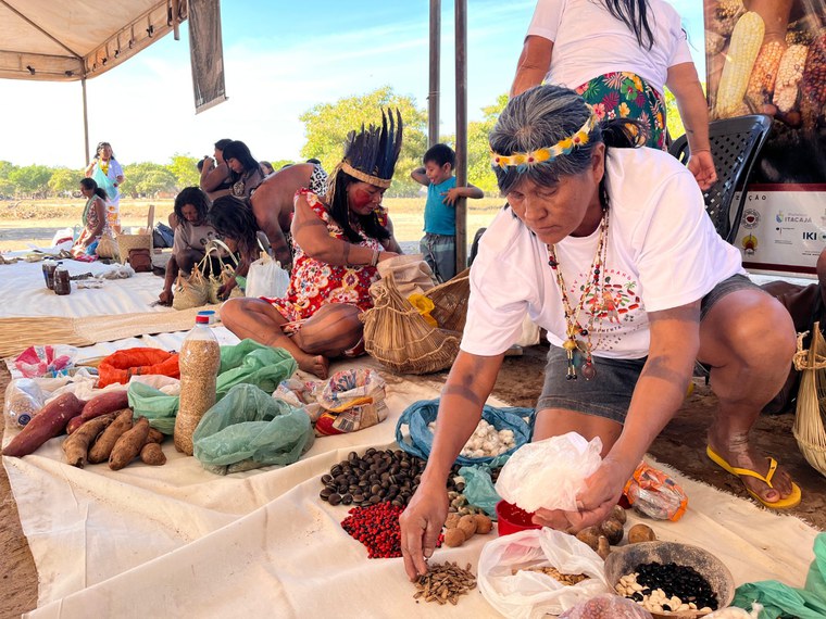 04.09.2025 - XIV Feira Krahô de Sementes Tradicionais - Foto Elvio Pankararu (4).jpeg