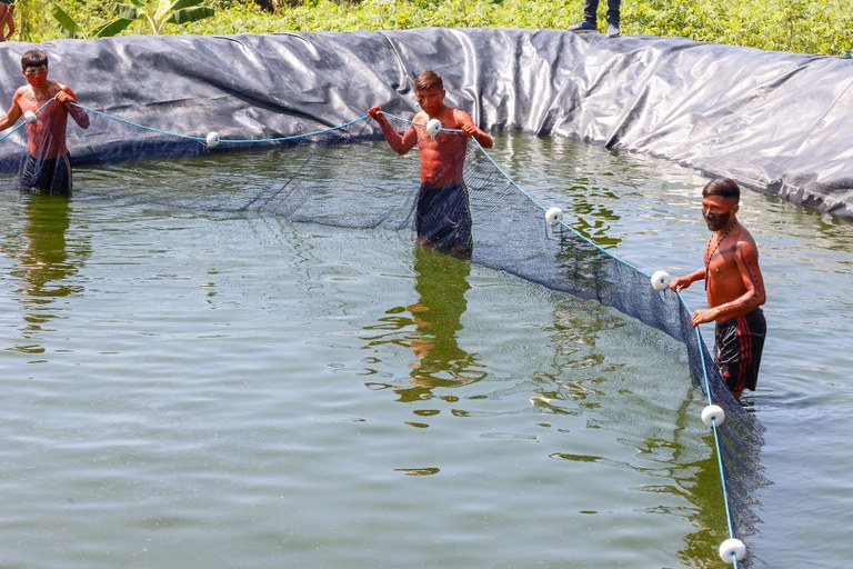02.02.2026 - Terra Indígena Yanomami recebe projeto sustentável @ Maira Wapichana_FUNAI-24.jpg
