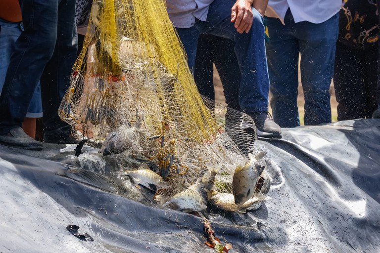 02.02.2026 - Terra Indígena Yanomami recebe projeto sustentável @ Maira Wapichana_FUNAI-26.jpg