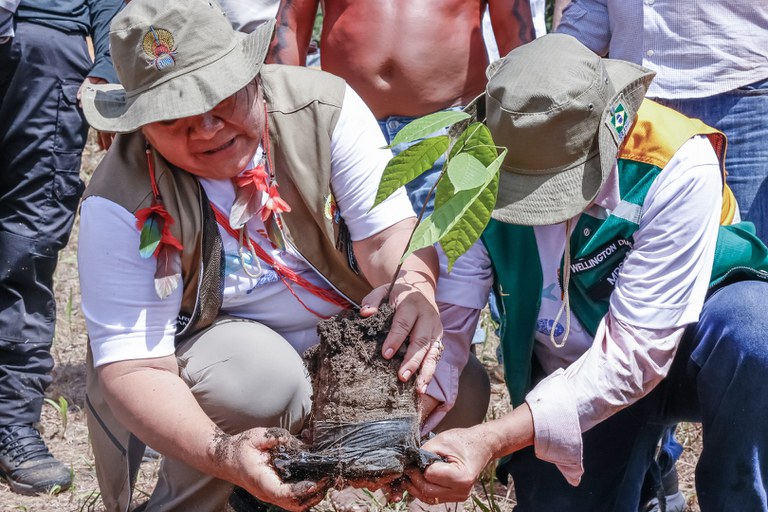 02.02.2026 - Terra Indígena Yanomami recebe projeto sustentável @ Maira Wapichana_FUNAI-32.jpg