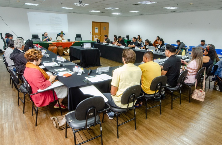 18.03.2026 - 25ª Reunião Ordinaria Comite Gestor PNGATI @ Mário Vilela_FUNAI-5.JPG