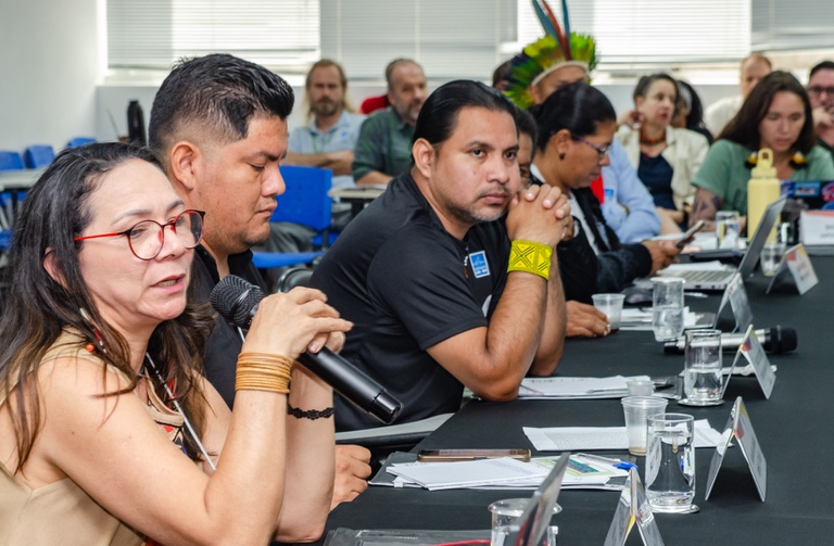 18.03.2026 - 25ª Reunião Ordinaria Comite Gestor PNGATI @ Mário Vilela_FUNAI.JPG