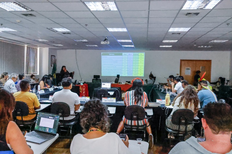 19.03.2026 - 25ª Reunião Ordinaria Comite Gestor PNGATI @ Mayra Wapichana_FUNAI-26.JPG