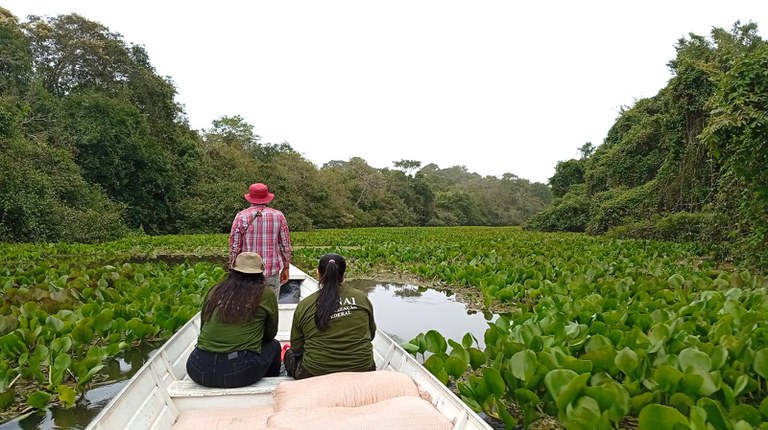 Entrega de sementes de milho - povo Kawaiweté @ divulgação_FUNAI (17).jpeg