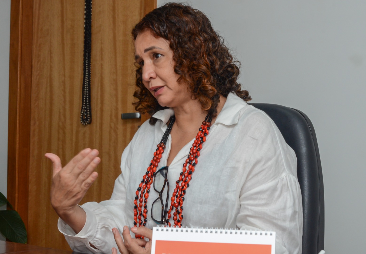15.01.2025 - Reunião com Valéria Burity - Segurança Alimentar (Caisan - MDS) @ Mário Vilela_FUNAI_-5.jpg