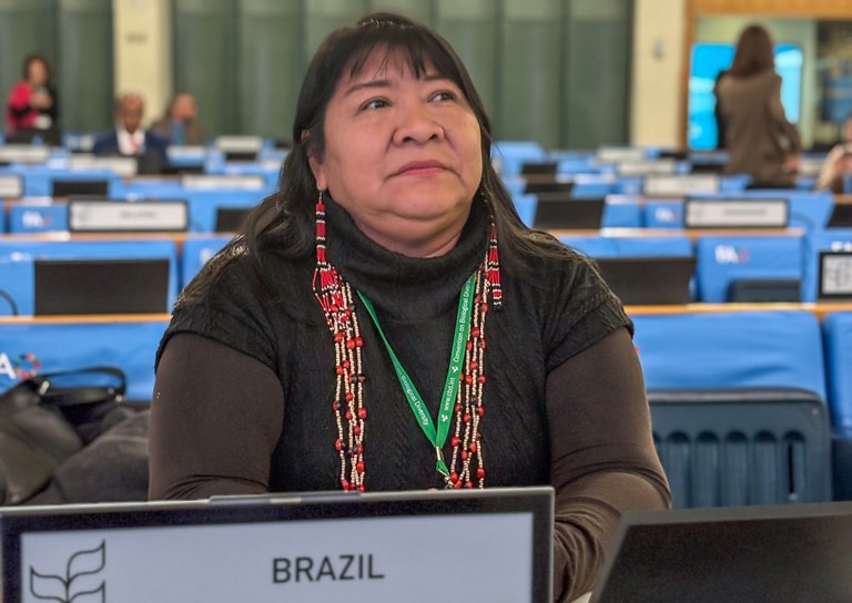 16.02.2026 - Sixth meeling of the Subsidiary  - FAO - Roma @ Divulgação_FUNAI-2.jpg