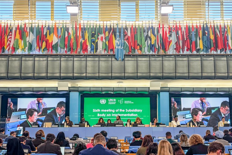 16.02.2026 - Sixth meeling of the Subsidiary  - FAO - Roma @ Divulgação_FUNAI-50.jpg