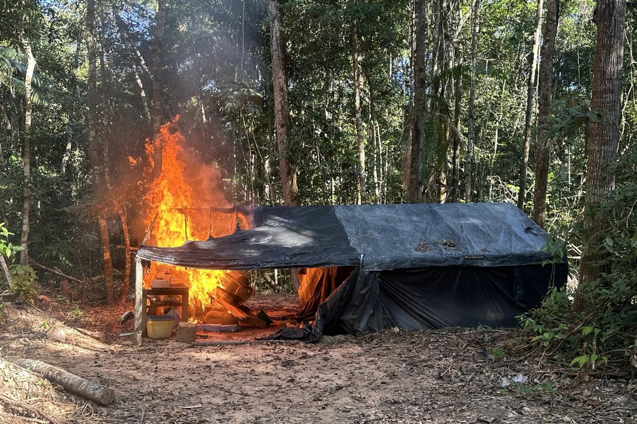 Acampamento ilegal incendiado durante ação de fiscalização