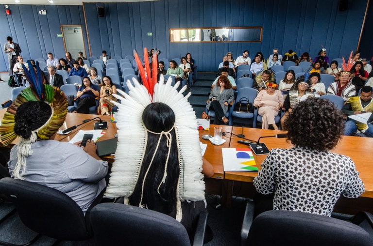 26.02.2026 - Reunião da CNPI @ Mário Vilela_FUNAI-15.jpg