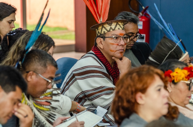 26.02.2026 - Reunião da CNPI @ Mário Vilela_FUNAI-22.jpg