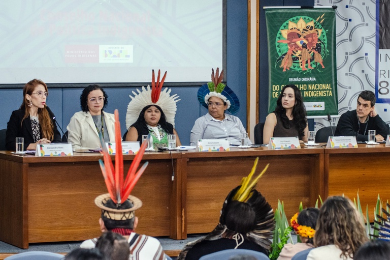 26.02.2026 - Reunião da CNPI @ Mário Vilela_FUNAI-34.jpg