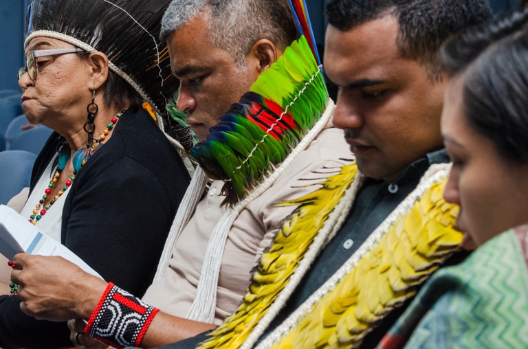 26.02.2026 - Reunião da CNPI @ Mário Vilela_FUNAI-5.jpg