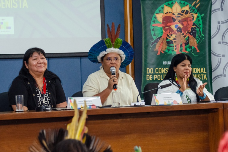 27.02.2026 - Reunião CNPI @ Mário Vilela_FUNAI-38.jpg