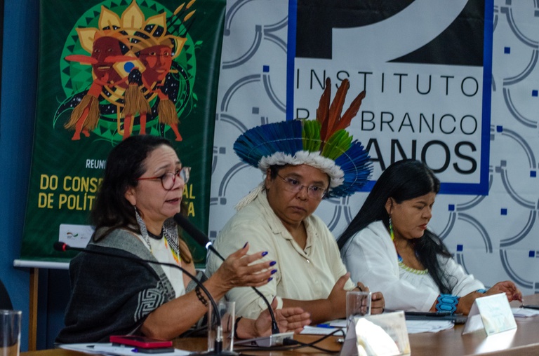 27.02.2026 - Reunião CNPI @ Mário Vilela_FUNAI-5.jpg