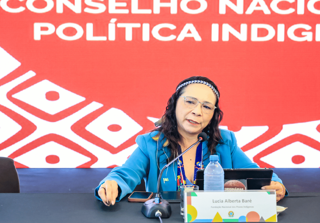 Presidenta da Funai