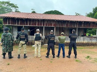 Funai, Polícia Federal e Ibama desarticulam esquema de exploração ilegal de madeira em terra indígena na divisa entre Mato Grosso e Rondônia