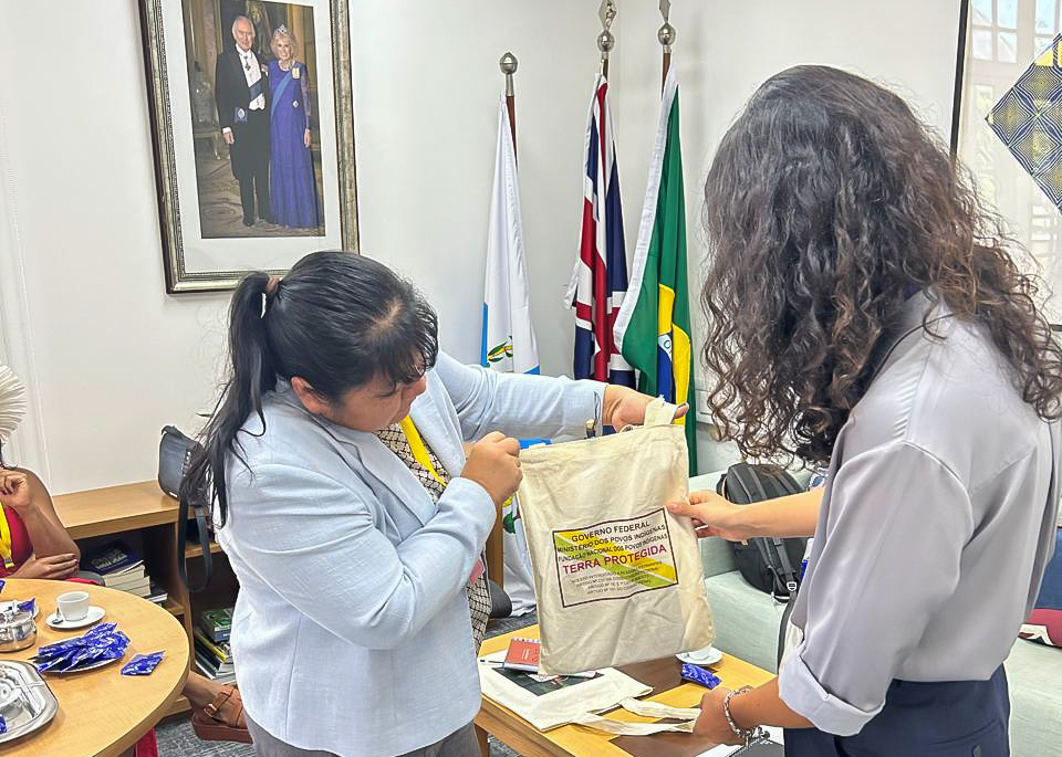 16.01.2025 - Visita à Embaxada do Reino Unido @ Divulgação_FUNAI (1).jpg