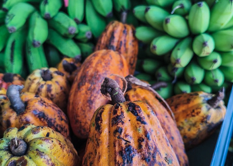 1ª Feira de Agricultura Familiar Indígena da Costa do Descobrimento e Extremo Sul da Bahia_-2.jpg