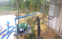 Na Bahia, sistema de irrigação com energia solar fortalece produção agrícola em comunidade indígena Tupinambá