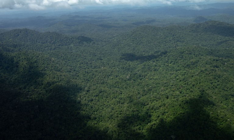Vista aérea da Terra Indígena Yanomami, em Roraima