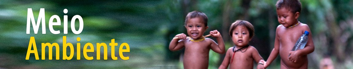 Imagem de três crianças indígenas com o texto "Meio Ambiente""
