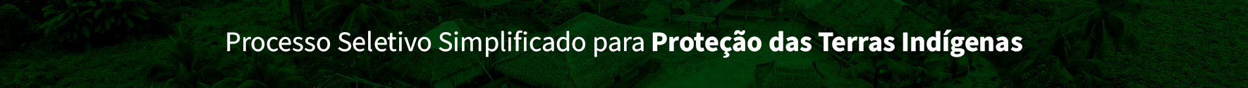 processo seletivo simplificado para proteção das terras indígenas