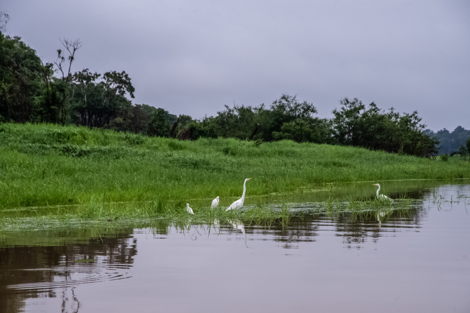 Funai conclui delimitação de três novas terras indígenas no Amazonas e em Santa Catarina