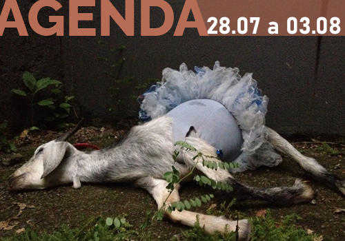 Agenda Artística 28/07 a 03/08