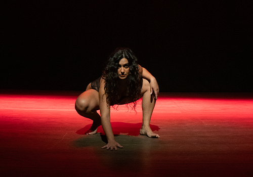"Pelve em Movimento"